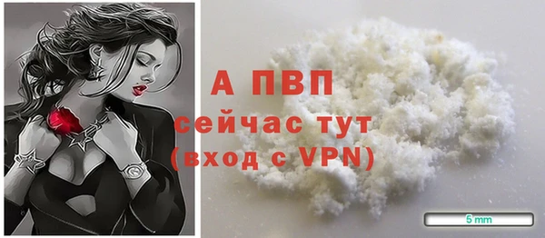 шишки Беломорск