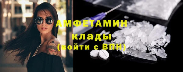 шишки Беломорск