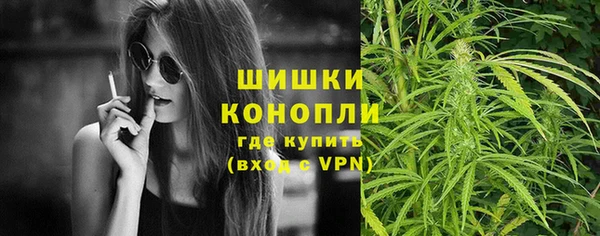 шишки Беломорск