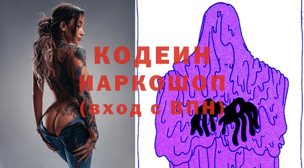шишки Беломорск