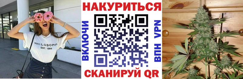 купить цена Сегежа Бошки Шишки Bruce Banner